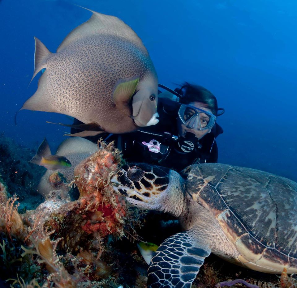 Your Ultimate Guide to Getting Started With Scuba Diving